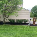 Trees and shrubbery results from expert landscaping